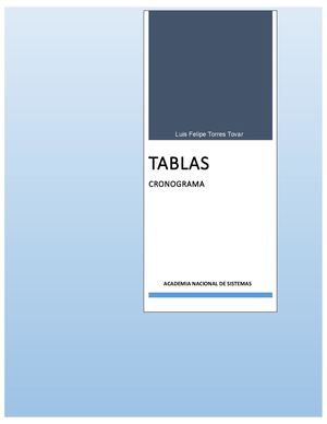 Tabla Cronograma