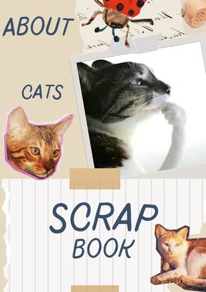 Book (1)