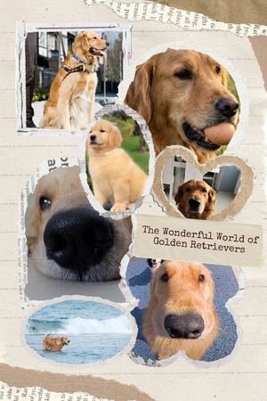 The Wonderful Word Of Golden Retrievers