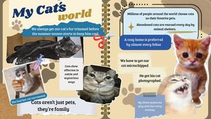My Cat's world