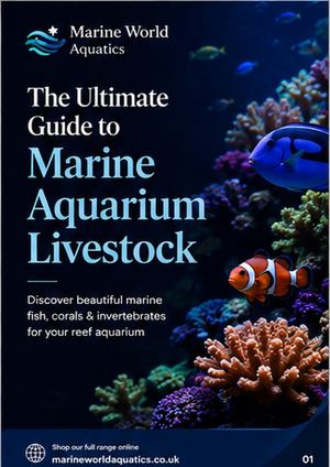 Marine Aquarium Livestock & Marine Livestock Online