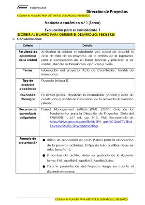 Pa 1 (Tarea) Vf Dirección De Proyectos