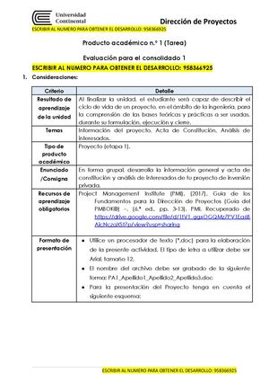 Pa 1 (Tarea) Vf Dirección De Proyectos