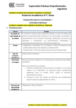 Producto Academico N1 Supervisión Prácticas Preprofesionales Ingeniería