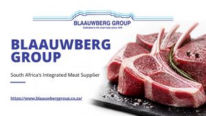 Blaauwberg Group - Presentation (September 2026)