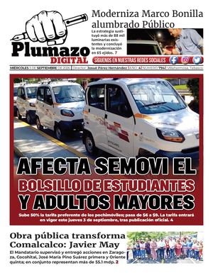 Plumazo Digital 794