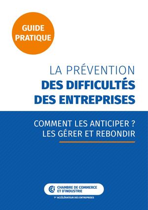 La Prévention Des Difficultés Des Entreprises