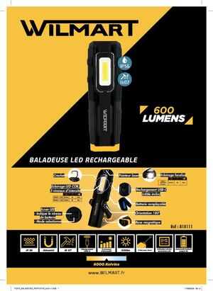 810111 Fiche Produit