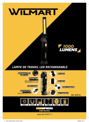810116 Fiche Produit