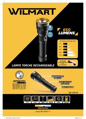 810118 Fiche Produit