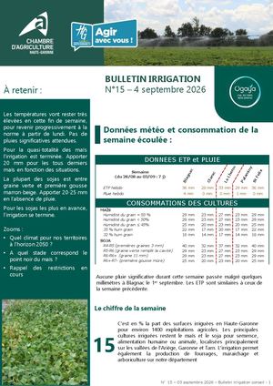 Bulletin Irrigation n°15 - Été 2026