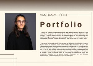 Portfolio Vandamme Felix
