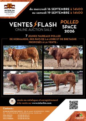 Catalogue Ventes FLASH POLLED SPACE 2026