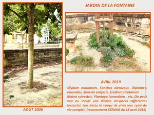 Jpat 2026 Copie Pptx Copie