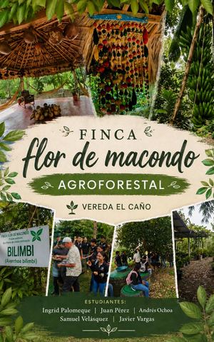 Registro Fotográfico (2)