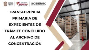 Transferencia Primaria