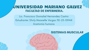 Sistema Muscular