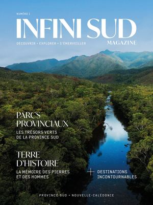 Infini Sud Magazine Janvier 2026