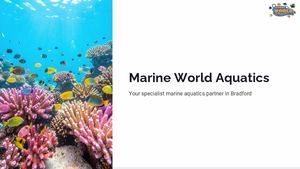 Buy Marine Fish Online & Aquarium Accessories | Marine World
