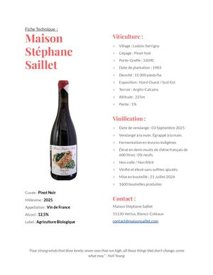 QR Code Pinot 2025