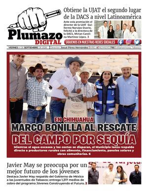 Plumazo Digital 795