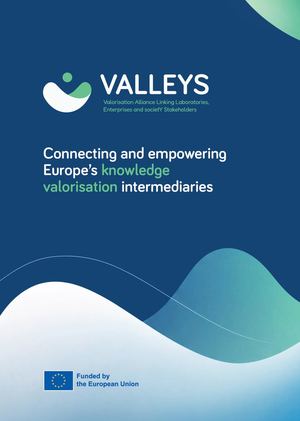 Brochure Valleys Paginas
