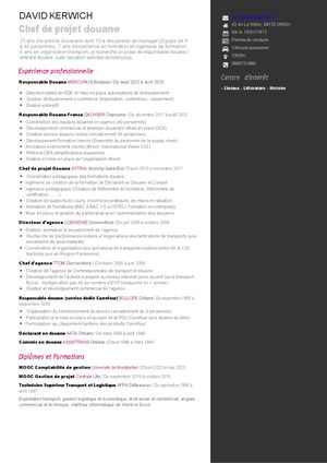 Chef De Projet Douane