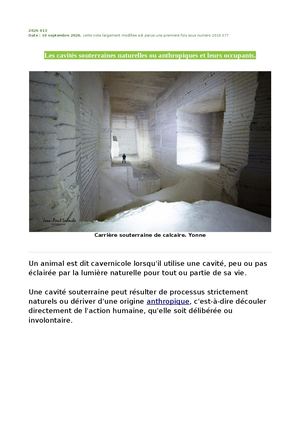 Les Cavités Souterraines