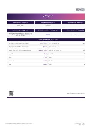 رخصة الهيئة العامة لتنظيم الإعلام شركة دن رقمي