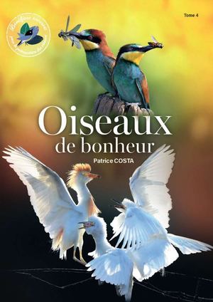 Calameo Oiseaux Du Bonheur Vol 4
