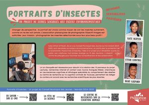 Portraits D'insectes