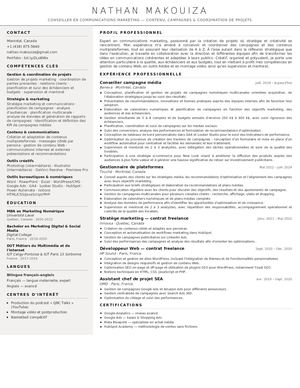 CV Nathan Makouiza Conseiller En Communication Marketing