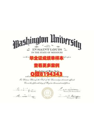 washington University In St Louis Diploma Sample