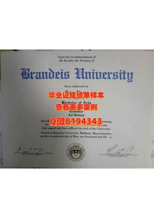 brandeis University Diploma Sample