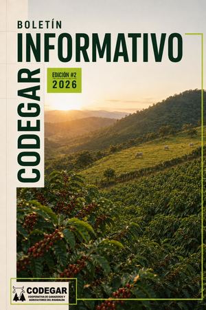Boletín Informativo #2 - 2026