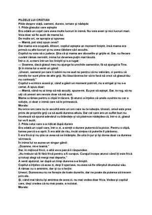 PILDELE LUI CRISTIAN DE CRISTIAN DIACONIȚA