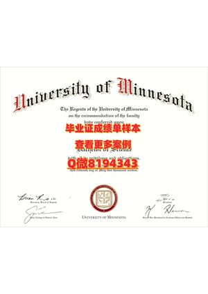 university Of Minnesota Duluth Diploma Sample