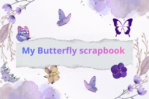 Butterfly Scrapbook By Ana, V