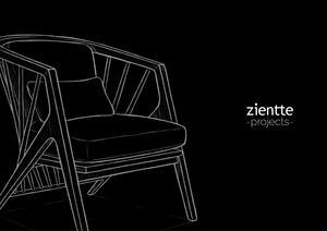 Zientte Projects Catalogo