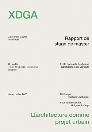 Rapport De Stage Master