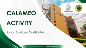 Calameo Activity