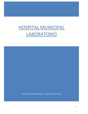 Bautista Informe De Pasantia Docx 2