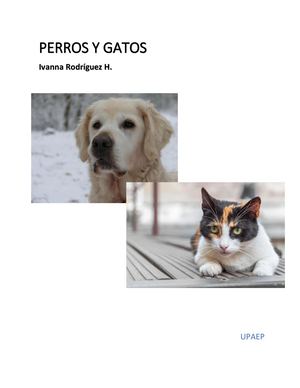 Perros
