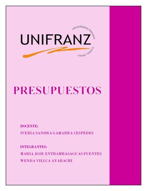 Portafolio Hito 2 PRESUPUESTOS