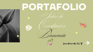 Portafolio De Conciliación Bancaria