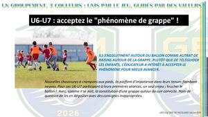 U6 U7 Article
