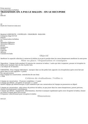 Jeu De Transition A 4 Mini Buts