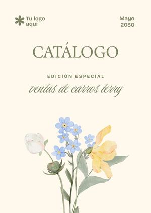 Ejemplo Catalogo Carros