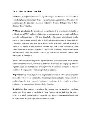 Propuesta De Intervencion