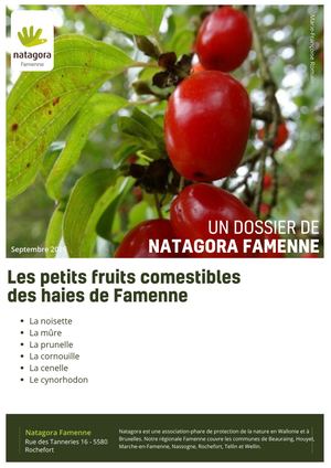 Les Petits Fruits comestibles des haies de Famenne